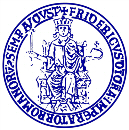 Logo Università degli Studi di Napoli Federico II